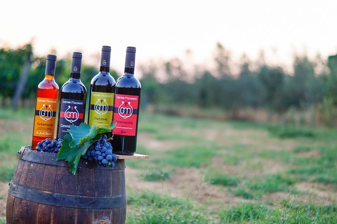 Wine & Oil Tasting Experience - Tour Details