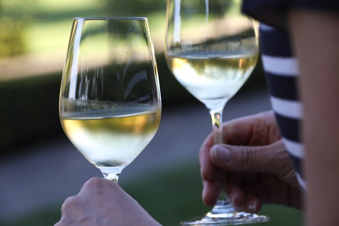 Wine Tasting Experience @ Lyrarakis Winery (Transfer Included) - The Sum Up