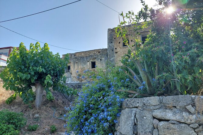 Wine Tasting: Meet the Cretan Vineyard at West Chania - Small Group Setting for Personalized Service