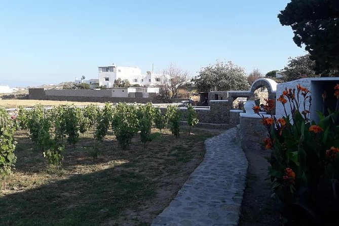 Wine Tasting Tour at a Traditional Farm in Mykonos - Directions