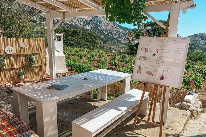 Wine Tasting Walk in Pini - Visit the Mattsson Winery