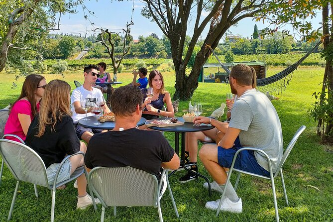 Wine Tasting With Local Food in Lazise Countryside - Overview of the Experience