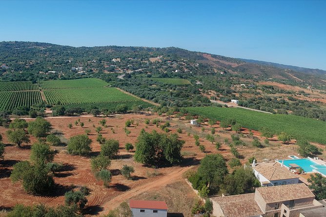 Wine Tastings, With Tour Option - Authentic Algarve Flavours by Quinta Da Tôr - Additional Info