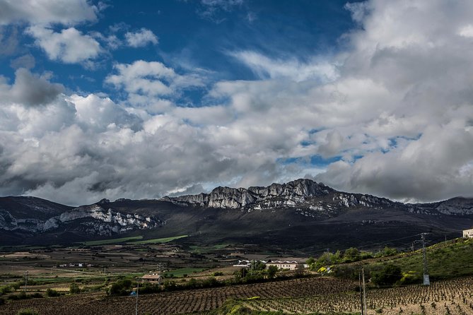 Wine Tour: Winery & Traditional Lunch From Logroño - Tour Itinerary and Duration