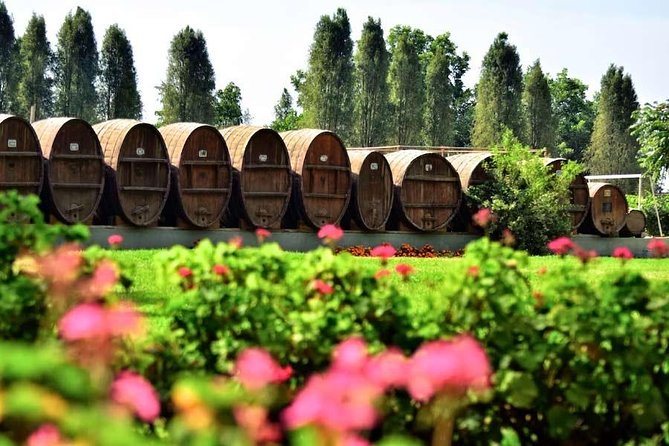 Winery and Pisco Distillery Tour - Meeting and Pickup Details