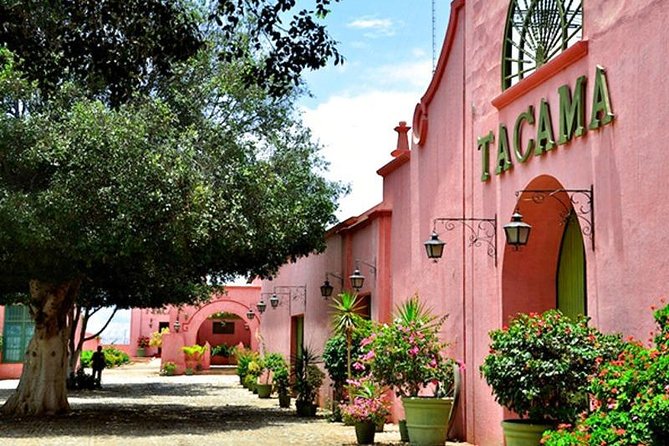 Winery and Pisco Tour in Ica - Tips for a Memorable Tour