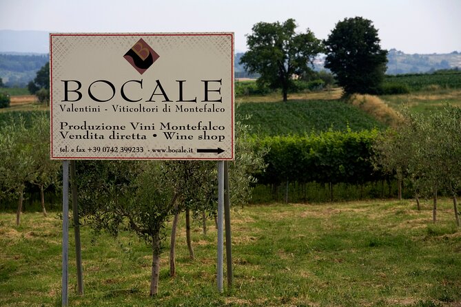 Winery Tour and Private Tasting in Montefalco - Traveler Photos and Reviews