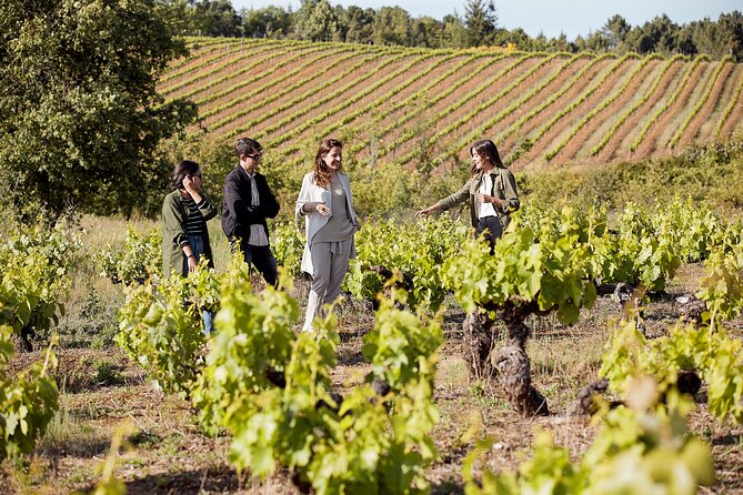 Winery Tour and Tasting at the Galician Estate - Tour Highlights