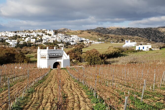Winery Tour and Tasting in Tinos With the Winemaker - Tour Confirmation and Accessibility