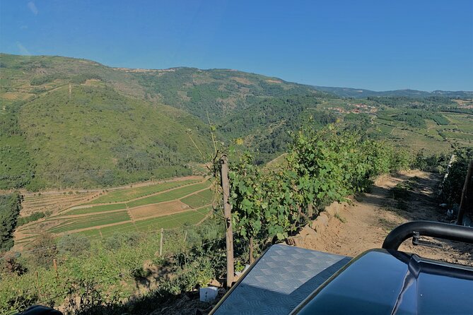 Winery Tour and Wine Tasting Quinta Da Portela De Baixo in Lamego - Taste the Flavors of Portuguese Grape Varieties
