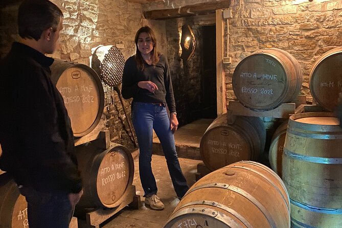 Winetour With Sommelier to Discover the Most Authentic Monferrato - Exploring Monferratos Vineyards
