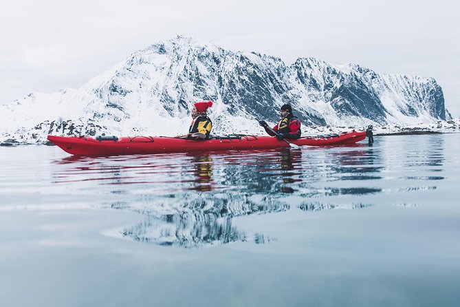 Winter Half Day Kayak Tour - Inclusions and Logistics