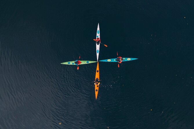 Winter Kayaking and Fika Tour - Islands of Stockholm Archipelago - Tour Overview
