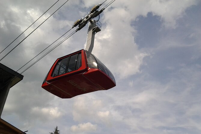 Winter Panorama Mount Pilatus: Small Group Tour From Luzern - Cancellation Policy and Weather Conditions