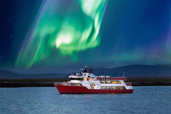 Winter Whale Watching & Northern Lights Cruise Combo From Reykjavik - Experience and Highlights