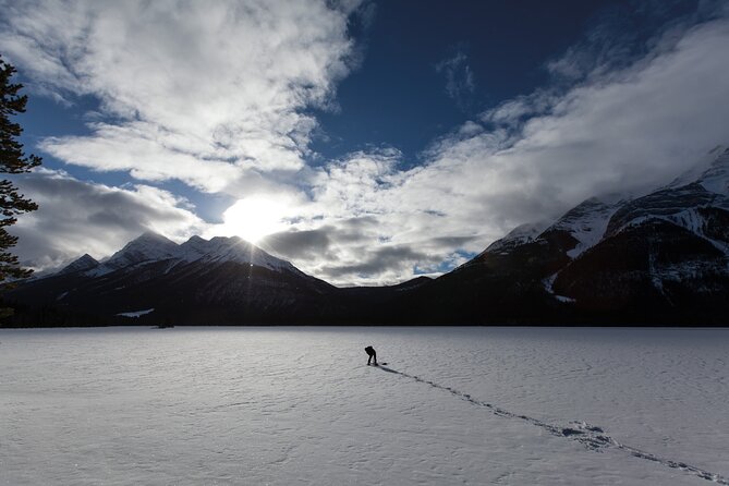 Winter Wilderness & Wildlife Tour - 3hr / Ice Cleats Included - Duration: 3 Hours