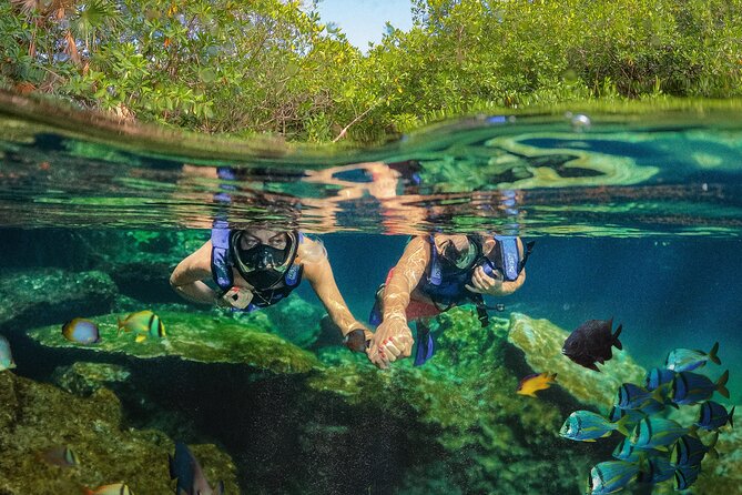 Xel-Há Park All-Inclusive Admission Ticket - Additional Information and Policies