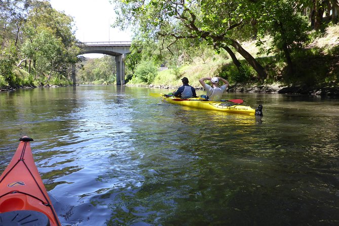 Yarra River Kayak Hire - What to Expect on the Yarra River