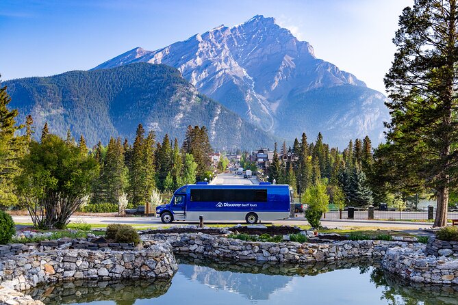 Year Round Tour: Banff and Its Wildlife - Tour Highlights