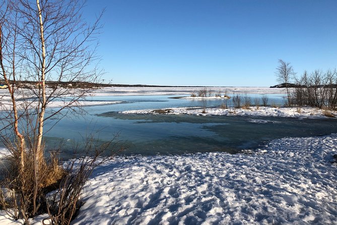Yellowknife City Tour Natures North Wildlife Gallery - Overall Rating and Detailed Breakdown