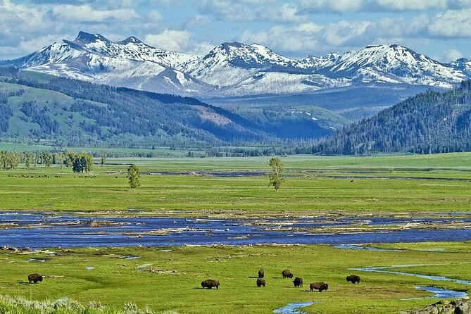 Yellowstone Lower Loop VIP Full-Day Private Tour With Lunch - Tour Itinerary