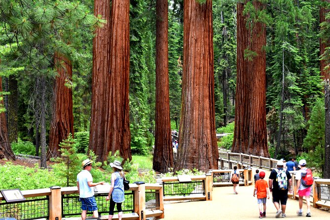 Yosemite Highlights Small Group Tour - Meeting and Pickup Information
