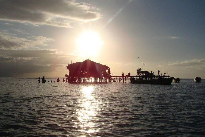 YS Falls, Black River Safari, and Floyds Pelican Bar Day-Trip (Transportation) - Inclusions