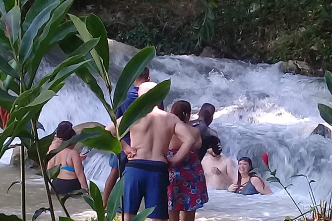 YS Falls & Pelican Bar Tour - Meeting and Pickup Details