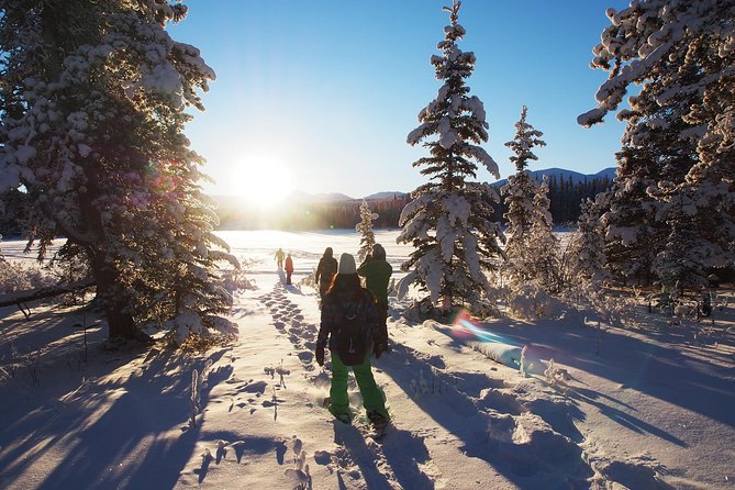 Yukon Snowshoeing Adventure Half Day - What To Expect on the Half Day Tour