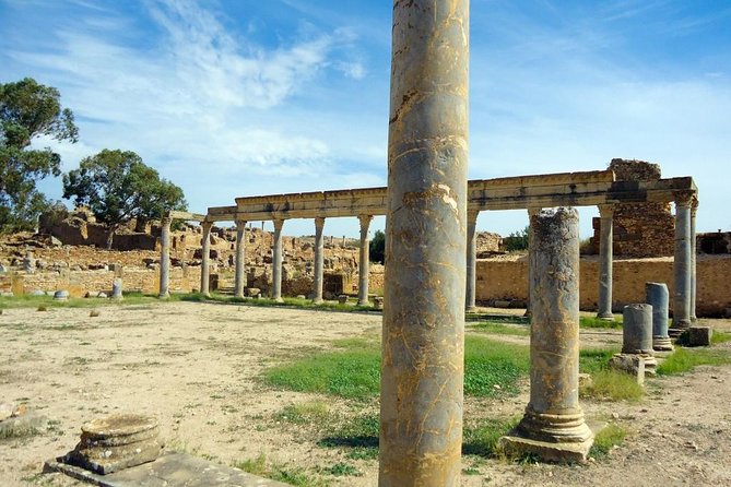 Zaghouan, Thuburbo Majus and Dougga Private Self-Guided Excursion From Hammamet - Tour Duration and Pickup Options