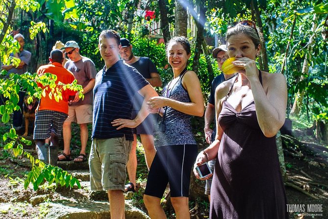 Zimbalis Rasta Tour Lunch - Highlights of the Rasta Village Experience