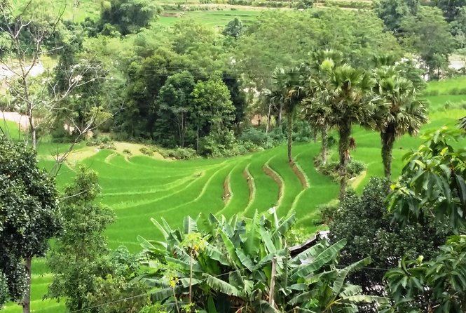 ZinDin Tours in Hagiang - Payment Options