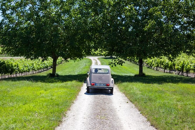 2CV Ride in the Cognac Vineyards - Good To Know