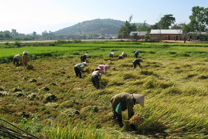2Days Tour to Nha Trang From Dalat - Day 1: Exploring Dalat and BiDoup Nui Ba National Park