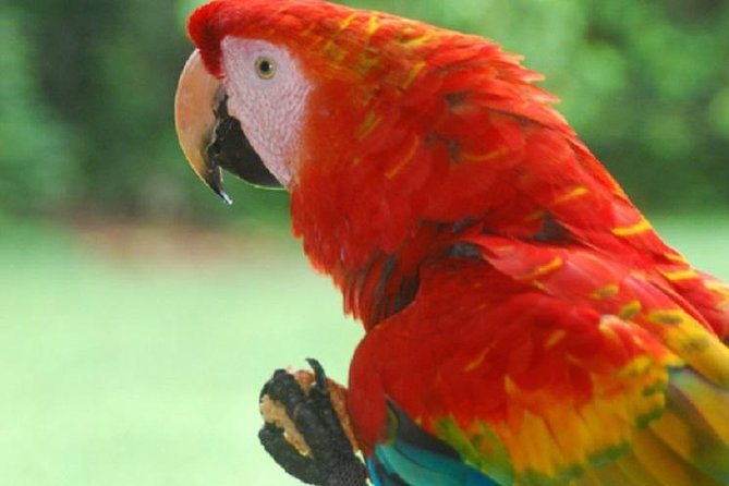 20 Best 3 Day Tours In Puerto Maldonado