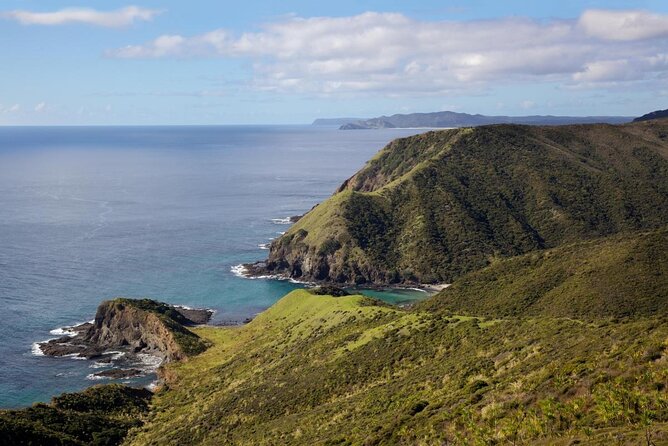 3 Day Bay of Islands Winter Tour From Auckland
