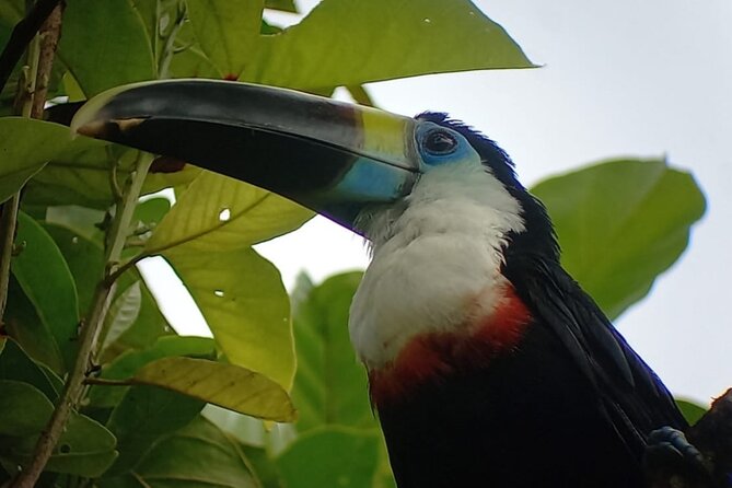 3-Day Eco-Sustainable Private Tour Manu National Park