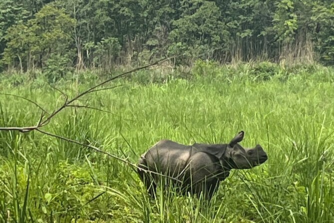 3-Day Guided Safari Tour in Chitwan National Park in Nepal