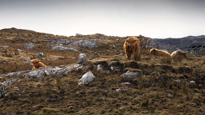 3 Day Isle of Lewis Tour With Accommodation From Inverness