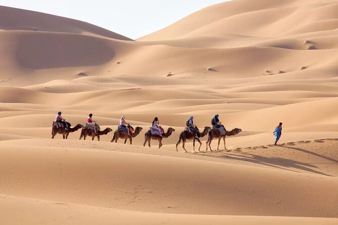 3-Day Marrakech to Fes Desert Tour: Camel Trek, Overnight Camping - Pricing and Booking