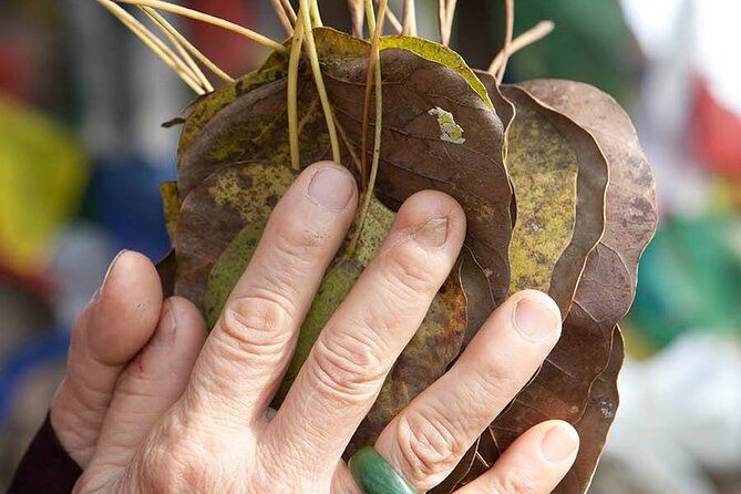 3 Day Private Lumbini Tour From Kathmandu - Tour Inclusions and Services