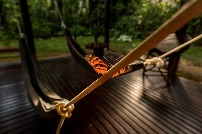 3 Day Tambopata Amazon Jungle Tour at Posada Amazonas