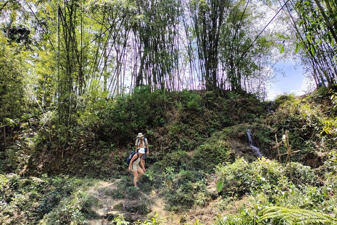 3-Day Trek in Amazing Muong Hoa Valley & Ethnic Homestay