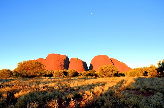2 Best Safari Tours In Uluru
