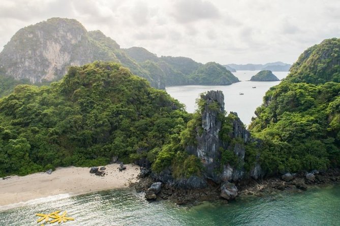 3 Days 2 Nights on Swan Cruises Visiting Bai Tu Long Bay Thien Canh Son Cave - Swan Cruises Amenities