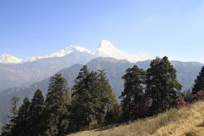 3 Days Amazing Ghandruk Trek From Pokhara Nepal - Detailed Itinerary and Highlights