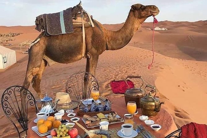 3-Days Desert Tour From Marrakesh - Good To Know