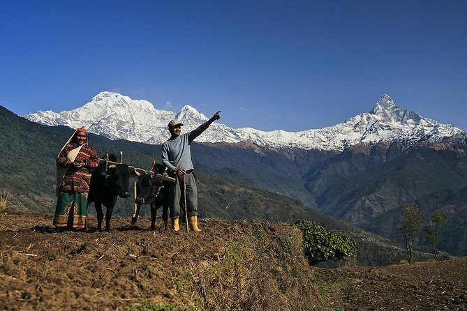 3 Days Dhampus Sarangkot Hike - The Sum Up