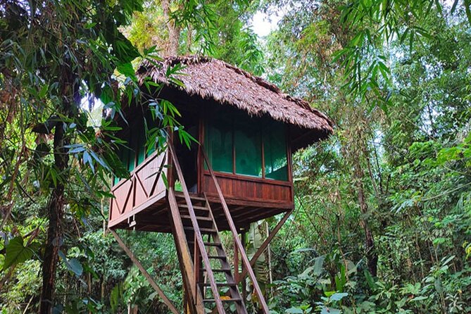 3 Days Guided Manu Jungle Tour From Cusco