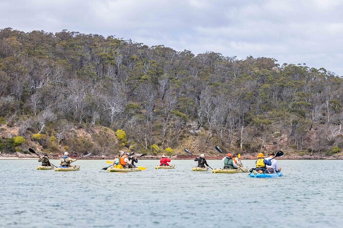 3 Hour Aboriginal Culture Tour With Kayaking in Coraki Drive